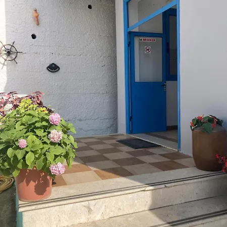 Sara's Apartament Wlora
